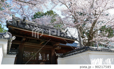 京都　南禅寺の美しい桜 90217585