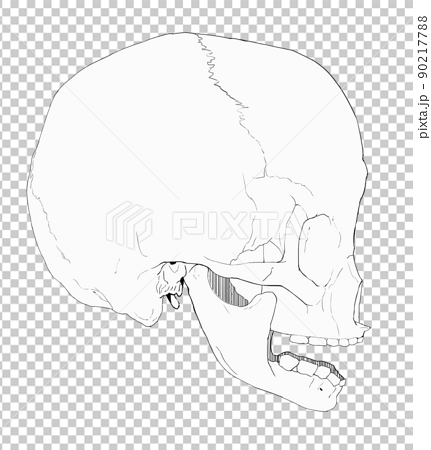 Berserk Skull Art Anime Drawing by Anime Art - Pixels