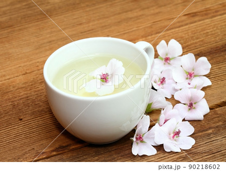 Tea from Marshmallow, lat. Althaea officinalis, is good against cough Tea from Marshmallow, lat. Althaea officinalis, is good against cough 90218602