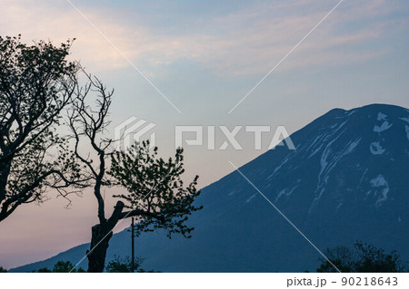 北海道　ニセコ　羊蹄山　双子のさくらんぼの木　朝焼け 90218643