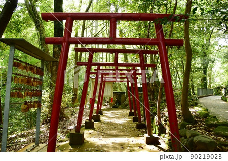 湯河原町　万葉公園湯河原惣湯周遊路の狸福神社 90219023