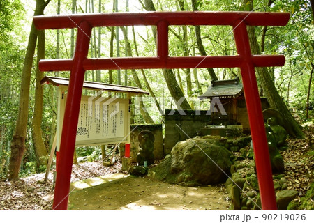 湯河原町　万葉公園湯河原惣湯周遊路の狸福神社 90219026