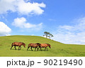 岬の草原にて 90219490