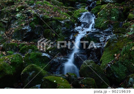 高知 四万十川源流点 高知 四万十川源流点 90219639