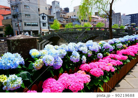 眼鏡橋の紫陽花 90219688