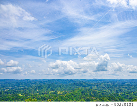 夏の青空と豊かな緑 90220101
