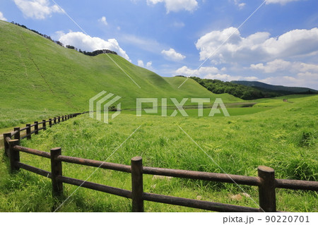 新緑の曽爾高原 90220701