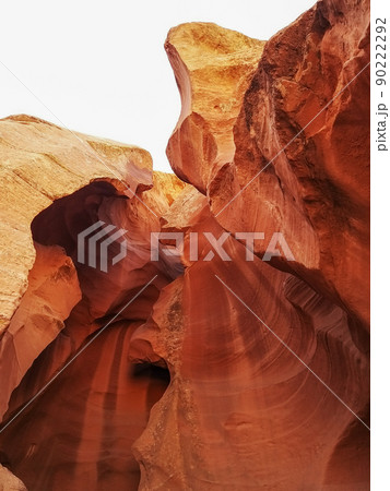 Looking up at Antelope Canyon 90222292