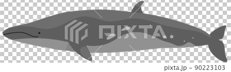 大村的鯨魚 90223103