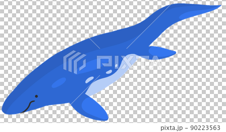 Omphalosaurus 90223563
