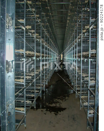 Rows of empty cages from inside an industrial chicken egg layer confinement building. 90224178