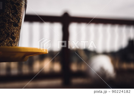 Selective focus on bird feeder with mix of seeds. Residential wooden porch in blurred background. Selective focus on bird feeder with mix of seeds. Residential wooden porch in blurred background. 90224182
