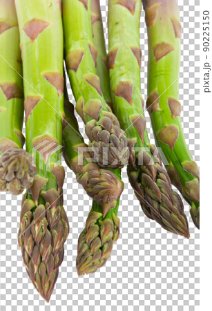 Vegetarian fresh green asparagus. vegetable cut out Vegetarian fresh green asparagus. vegetable cut out 90225150