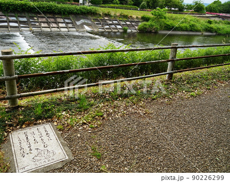 潤井川 90226299