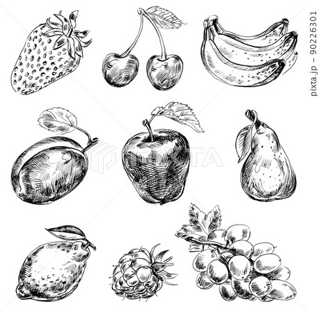 Set of fruits. Freehand drawing Set of fruits. Freehand drawing 90226301