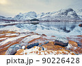 Fjord in winter, Norway 90226428