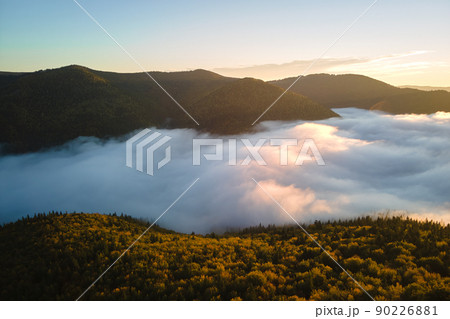 Aerial view of amazing scenery with foggy dark mountain forest pine trees at autumn sunrise. Beautiful wild woodland with shining rays of light at dawn 90226881