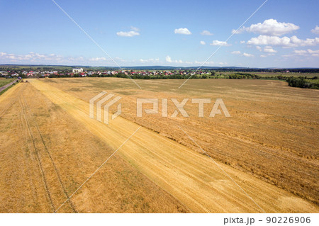 Aerial landscape view of yellow cultivated agricultural field with ripe wheat on bright summer day Aerial landscape view of yellow cultivated agricultural field with ripe wheat on bright summer day 90226906