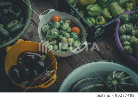 Harvested harvest of fresh vegetables in boxes and basins. Green peppers, tomatoes and cucumbers from greenhouses and beds of personal garden. Growing food on a farm. Selective focus 90227488