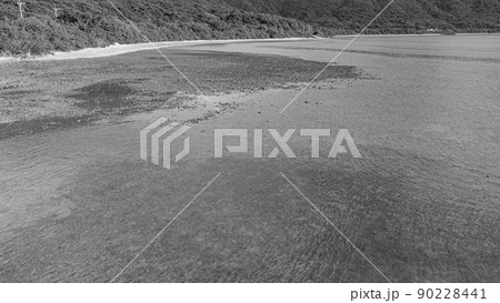 【空撮】セピア 石垣島 浦底湾 90228441