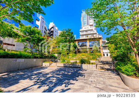 東京 渋谷区の都市風景 北谷公園(KITAYA PARK) 東京 渋谷区の都市風景 北谷公園(KITAYA PARK) 90228535