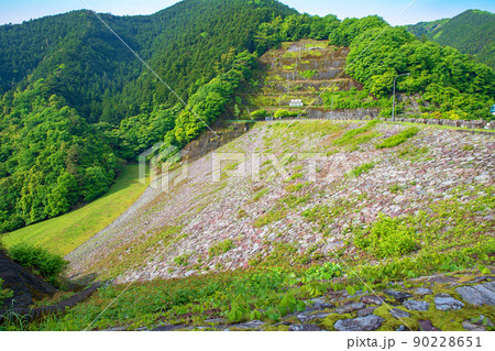 有馬ダム　名栗湖　湖畔　天端　春　新緑の風景 90228651
