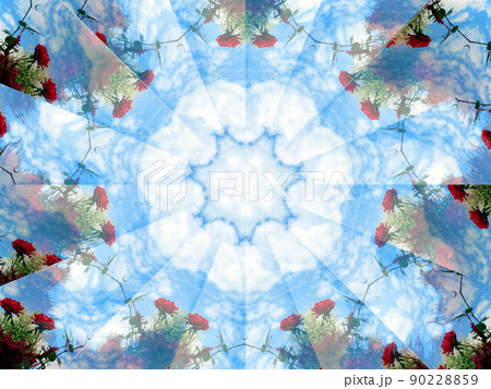 薔薇/万華鏡 90228859