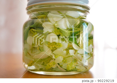 ドクダミチンキ ドクダミチンキ 90229219