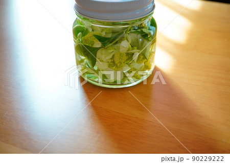 ドクダミチンキ ドクダミチンキ 90229222