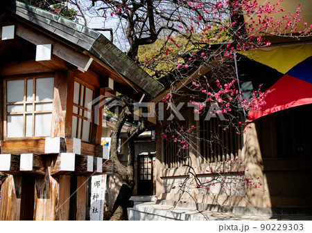 腹軸 東郷神社 腹軸 東郷神社 90229303