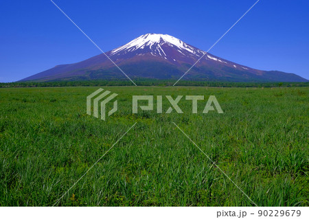 20220529梨が原(北富士演習場)からの富士山 20220529梨が原(北富士演習場)からの富士山 90229679