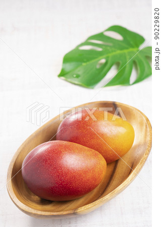 【トロピカルフルーツ】完熟国産マンゴー 【トロピカルフルーツ】完熟国産マンゴー 90229820