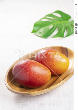 【トロピカルフルーツ】完熟国産マンゴー 90229821