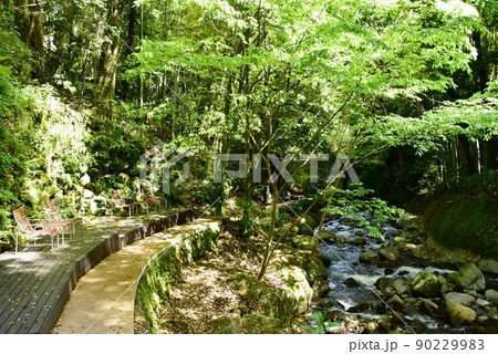 湯河原町　万葉公園湯河原惣湯川の道とテラス席と新緑 90229983