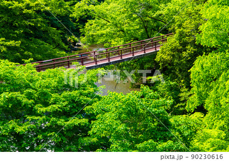 東京都あきる野市 緑豊かな秋川渓谷 ~石舟橋~ 東京都あきる野市 緑豊かな秋川渓谷 ~石舟橋~ 90230616