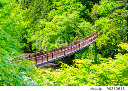 東京都あきる野市 緑豊かな秋川渓谷 ~石舟橋~ 東京都あきる野市 緑豊かな秋川渓谷 ~石舟橋~ 90230618