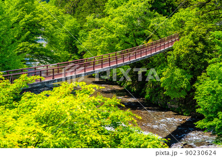 東京都あきる野市 緑豊かな秋川渓谷 ~石舟橋~ 東京都あきる野市 緑豊かな秋川渓谷 ~石舟橋~ 90230624