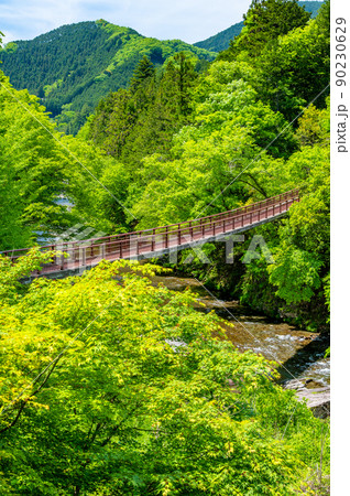 東京都あきる野市 緑豊かな秋川渓谷 ~石舟橋~ 東京都あきる野市 緑豊かな秋川渓谷 ~石舟橋~ 90230629