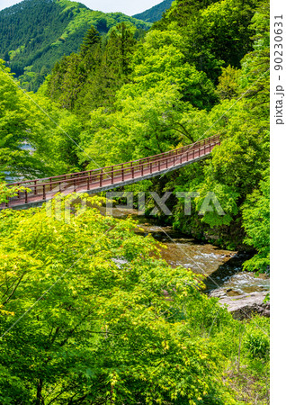 東京都あきる野市　緑豊かな秋川渓谷　～石舟橋～ 90230631