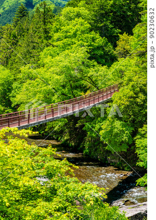 東京都あきる野市 緑豊かな秋川渓谷 ~石舟橋~ 東京都あきる野市 緑豊かな秋川渓谷 ~石舟橋~ 90230632