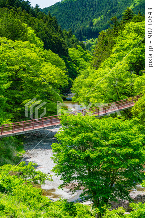 東京都あきる野市 緑豊かな秋川渓谷 ~石舟橋~ 東京都あきる野市 緑豊かな秋川渓谷 ~石舟橋~ 90230643