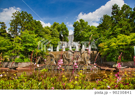 福井県グリーンセンター　春 90230841