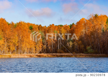 Autumn forest by the lake at evening time. 90230978
