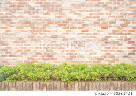 レンガの壁と植木のグリーン レンガの壁と植木のグリーン 90231421