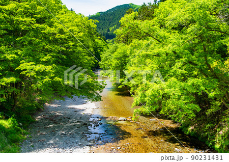 東京都あきる野市　秋川渓谷　～石舟橋からの眺め～ 90231431