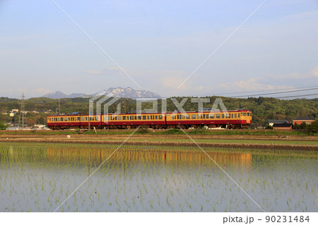 終焉近い信越本線115系快速（懐かしの新潟色） 90231484