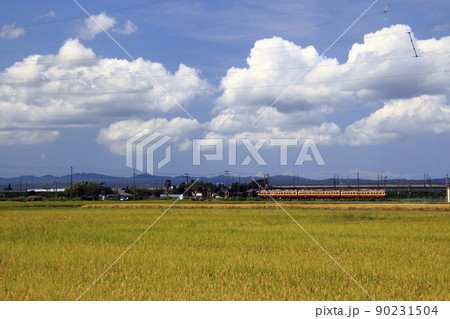 終焉近い信越本線115系快速(懐かしの新潟色) 終焉近い信越本線115系快速(懐かしの新潟色) 90231504