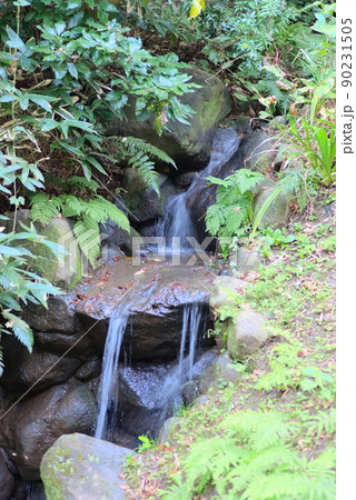 庭園を流れる水流 庭園を流れる水流 90231505