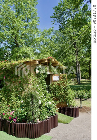 赤い花の咲くつるバラの小屋 90231750