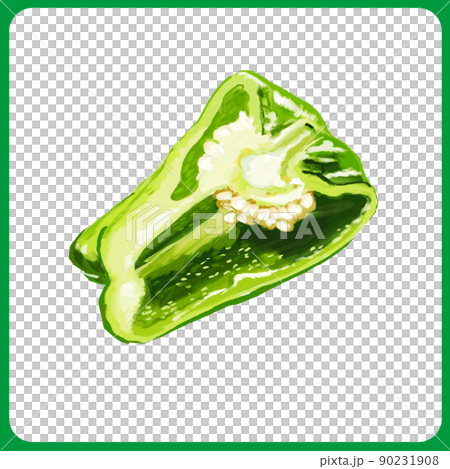 Hand-painted thick watercolor pepper cross-section illustration Hand-painted thick watercolor pepper cross-section illustration 90231908